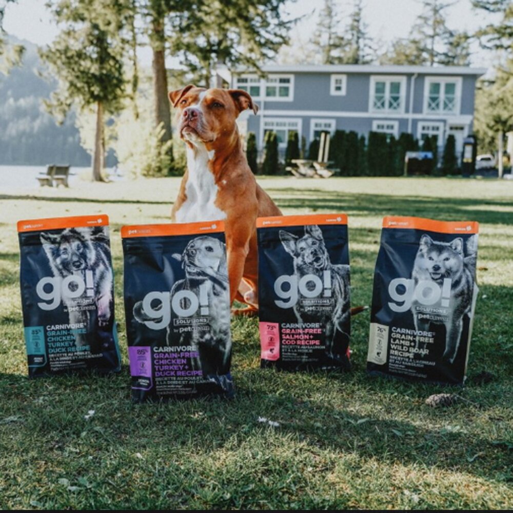 GO 全方位天然狗糧 WDJ狗飼料 WDJ推薦 GO 高肉量 低敏 幼母犬 成犬 狗飼料毛掌櫃寵物店-圖片-3