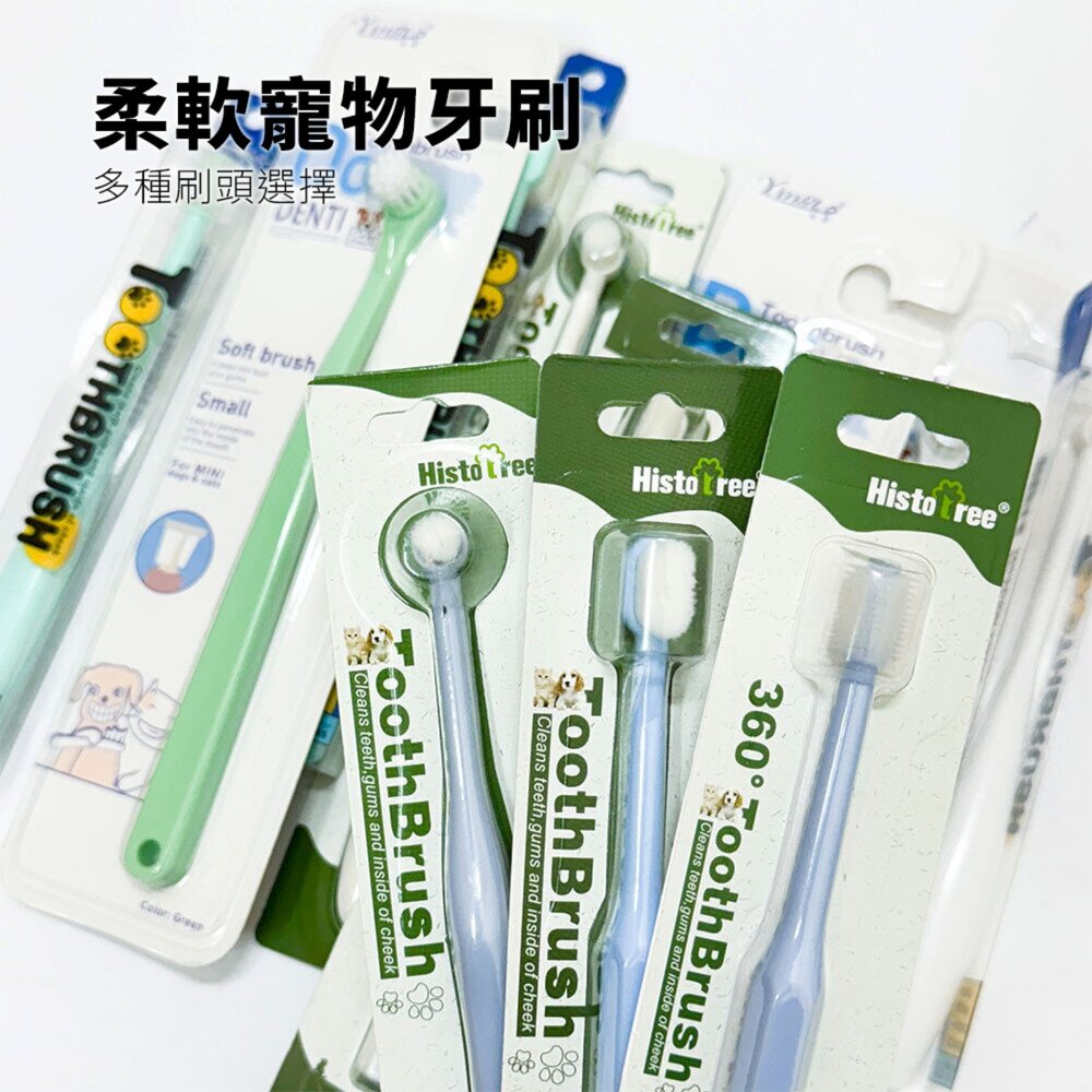 Histotree 寵物牙刷 寵物牙刷 貓咪牙刷 狗狗牙刷 貓咪360度口腔清潔 小頭狗狗牙刷 寵物用品毛掌櫃寵物店-圖片-1