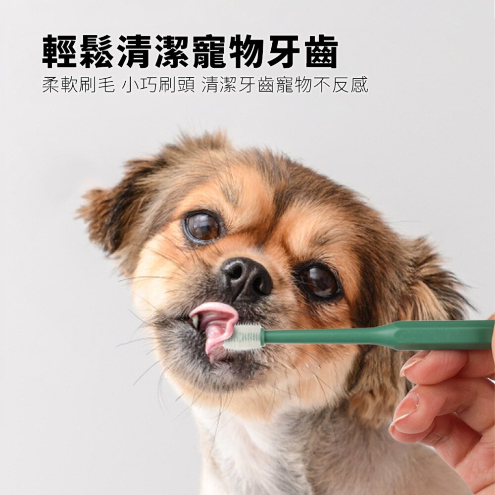 Histotree 寵物牙刷 寵物牙刷 貓咪牙刷 狗狗牙刷 貓咪360度口腔清潔 小頭狗狗牙刷 寵物用品毛掌櫃寵物店-圖片-2