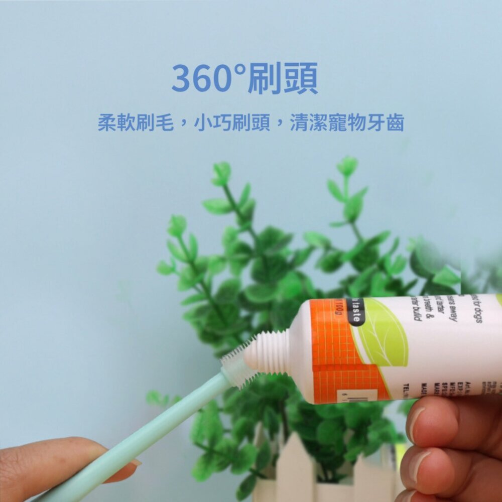 Histotree 寵物牙刷 寵物牙刷 貓咪牙刷 狗狗牙刷 貓咪360度口腔清潔 小頭狗狗牙刷 寵物用品毛掌櫃寵物店-圖片-6