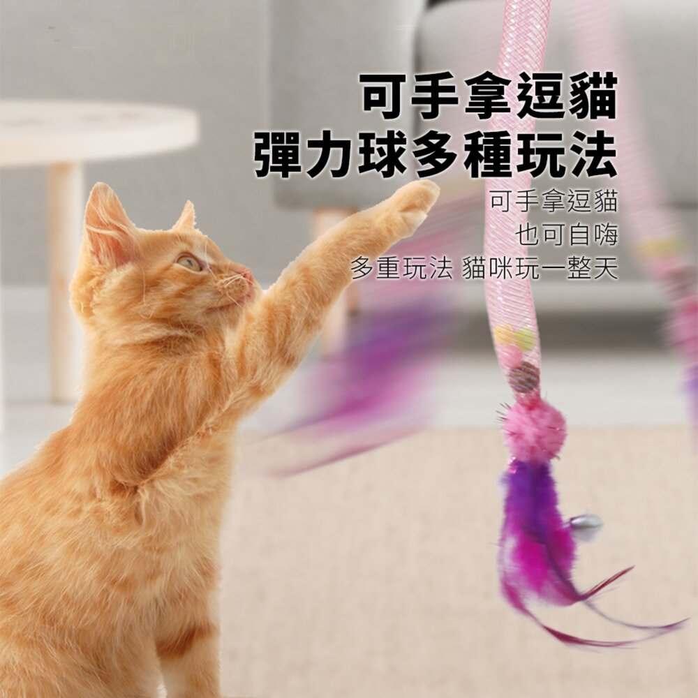 NeeBoo 彈力軟管 貓玩具 彈力網 貓玩具 附貓薄荷球 蟲蟲 羽毛 逗貓棒 可伸縮 彈力 響鈴 逗貓玩具毛掌櫃寵物店-圖片-5