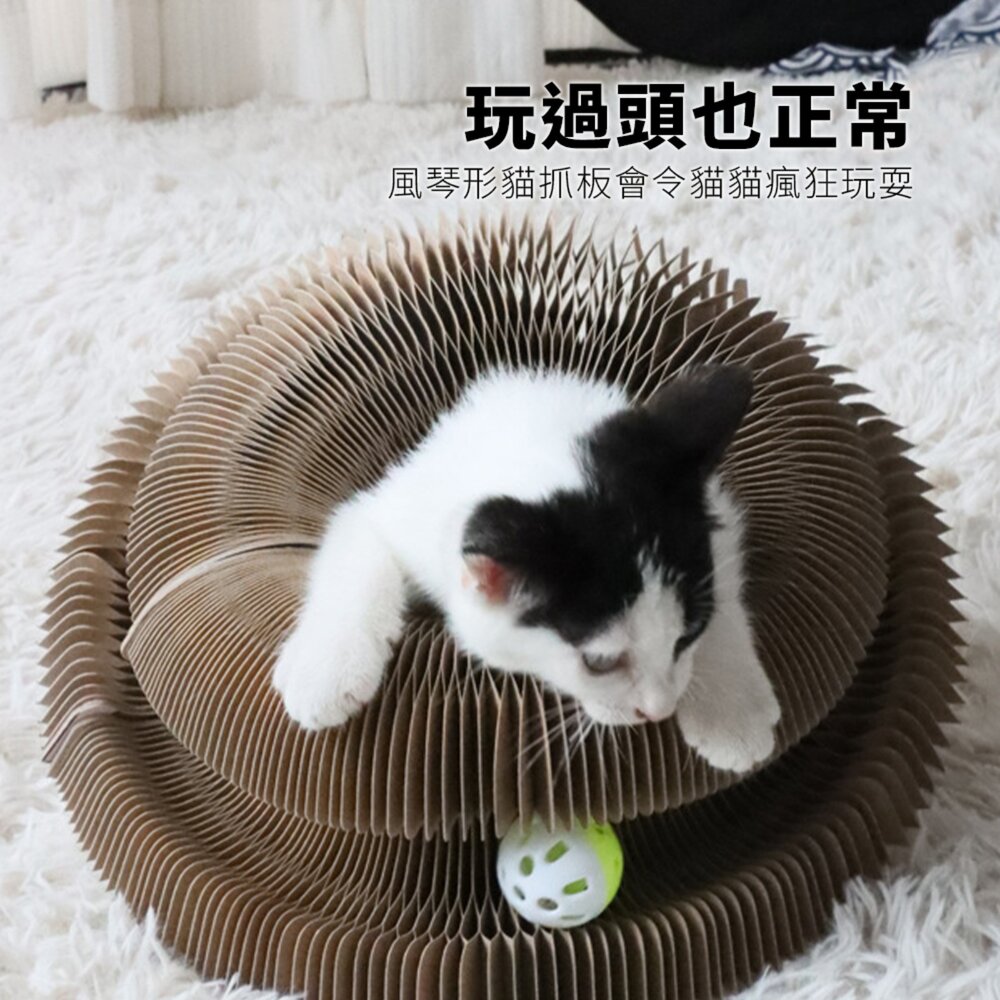 Scrapaw 風琴貓抓板 摺疊貓抓板 磁吸貓咪磨爪神器 耐磨耐抓 可變形 自嗨好物毛掌櫃寵物店-圖片-2