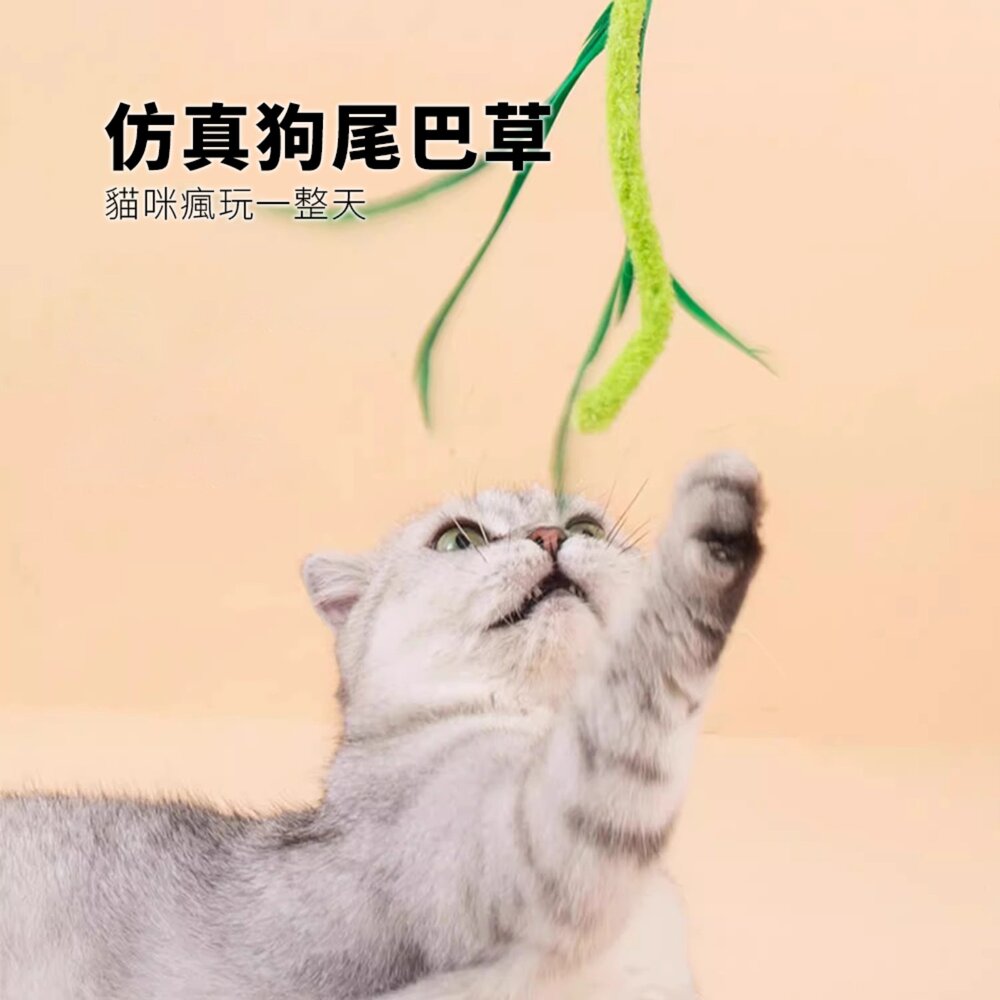 NeeBoo 狗尾巴草逗貓棒 貓玩具 狗尾巴草長桿逗貓棒 貓咪玩具 自嗨解悶神器 小貓玩具毛掌櫃寵物店-圖片-4