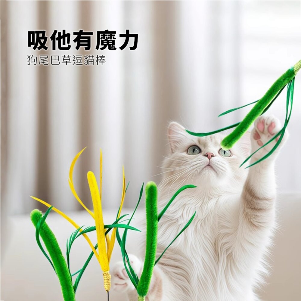 NeeBoo 狗尾巴草逗貓棒 貓玩具 狗尾巴草長桿逗貓棒 貓咪玩具 自嗨解悶神器 小貓玩具毛掌櫃寵物店-圖片-7