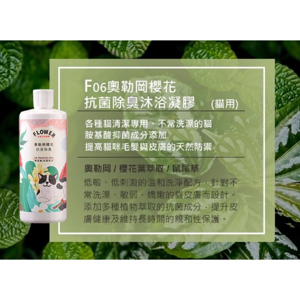 花狗花貓 沐浴凝膠 洗毛精 貓沐浴 狗沐浴 全犬適用 全貓適用 低敏不刺激 沐浴乳毛掌櫃寵物店-圖片-2