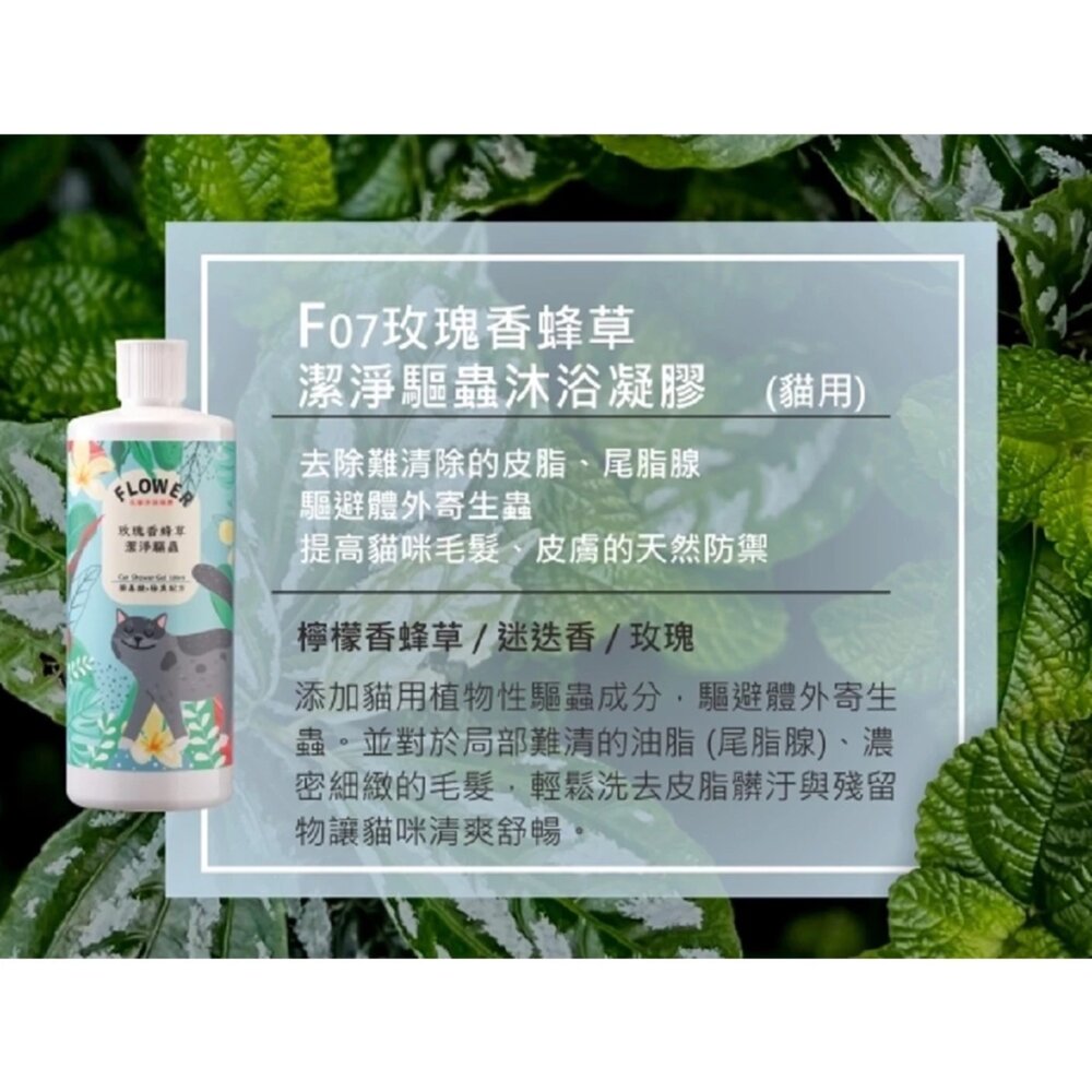 花狗花貓 沐浴凝膠 洗毛精 貓沐浴 狗沐浴 全犬適用 全貓適用 低敏不刺激 沐浴乳毛掌櫃寵物店-圖片-3