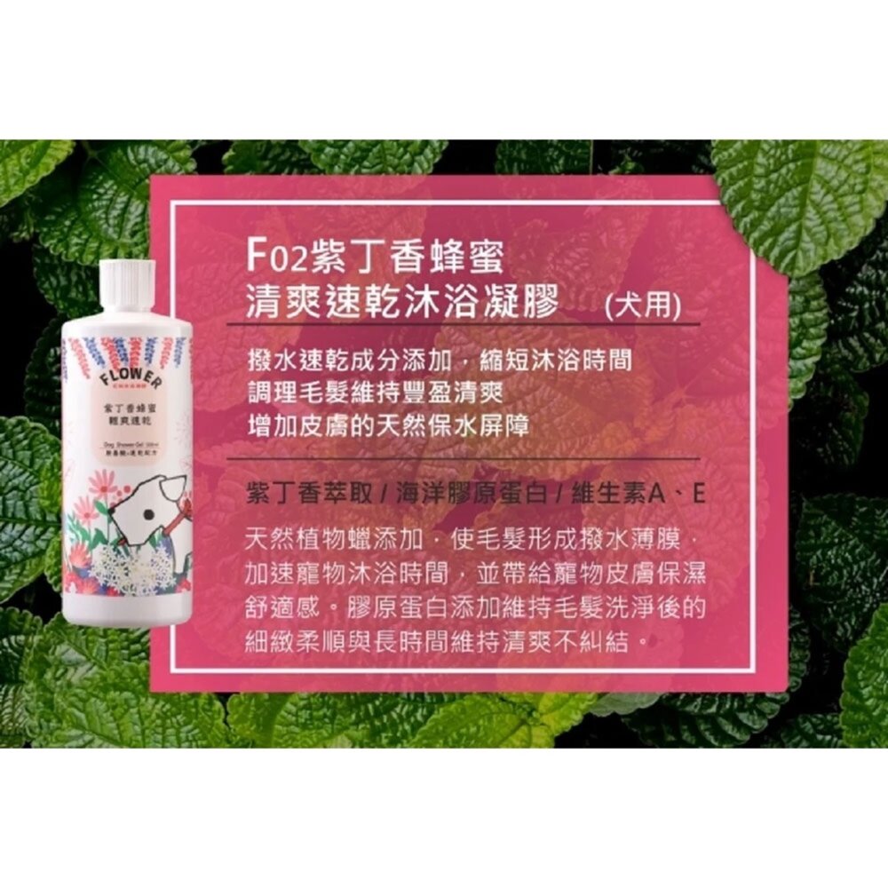 花狗花貓 沐浴凝膠 洗毛精 貓沐浴 狗沐浴 全犬適用 全貓適用 低敏不刺激 沐浴乳毛掌櫃寵物店-圖片-4