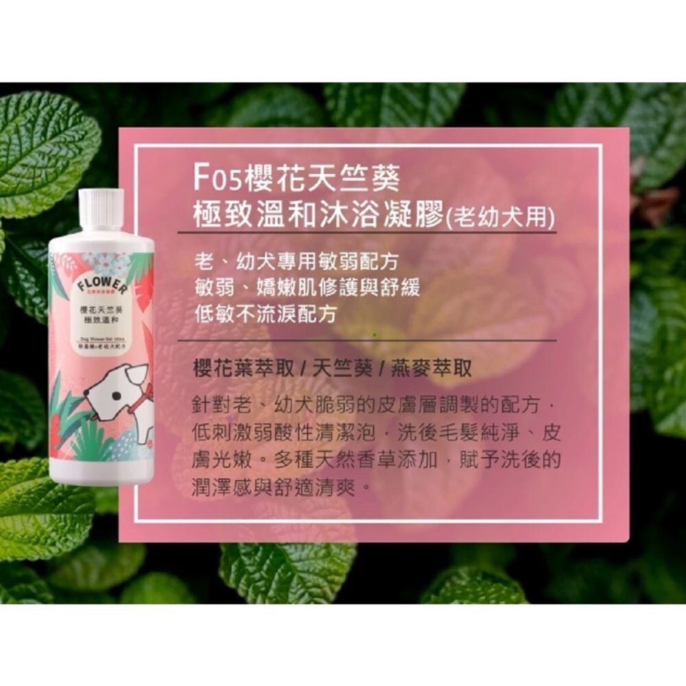 花狗花貓 沐浴凝膠 洗毛精 貓沐浴 狗沐浴 全犬適用 全貓適用 低敏不刺激 沐浴乳毛掌櫃寵物店-圖片-5