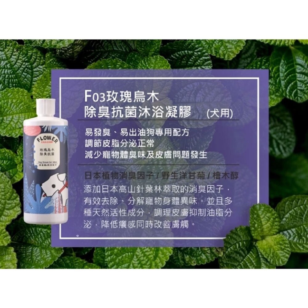 花狗花貓 沐浴凝膠 洗毛精 貓沐浴 狗沐浴 全犬適用 全貓適用 低敏不刺激 沐浴乳毛掌櫃寵物店-圖片-6
