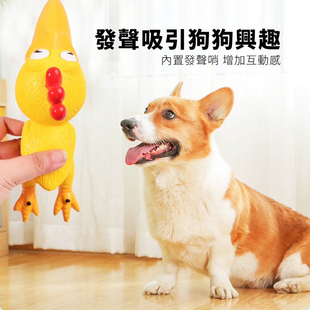 Bollo 大頭雞乳膠玩具 寵物狗玩具 乳膠發聲玩具 尖叫雞 發洩解悶 大頭雞 慘叫雞 狗狗玩具毛掌櫃寵物店-圖片-2