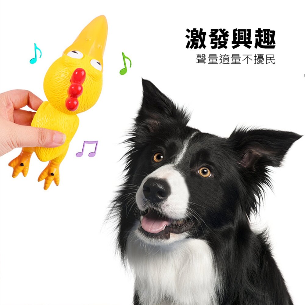 Bollo 大頭雞乳膠玩具 寵物狗玩具 乳膠發聲玩具 尖叫雞 發洩解悶 大頭雞 慘叫雞 狗狗玩具毛掌櫃寵物店-圖片-4