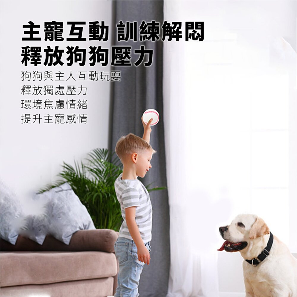 Bollo 高彈橡膠玩具球 橡膠籃球 高彈力足球 網球 棒球 狗狗玩具 耐咬磨牙 寵物玩具毛掌櫃寵物店-圖片-3