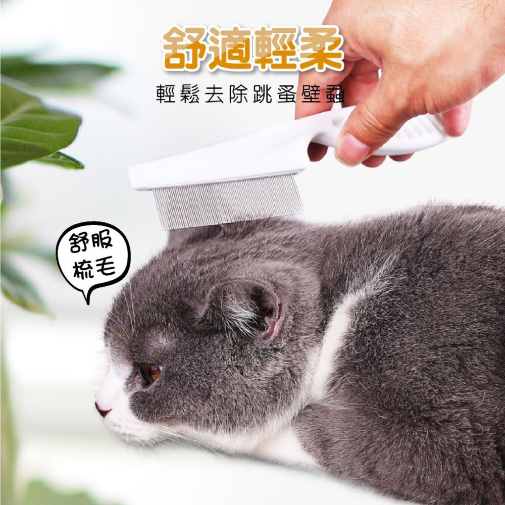 HZX 除蚤梳 寵物除蚤梳 狗狗貓咪梳子 跳蚤梳 美容梳 脫毛寵物梳子 寵物密齒除毛梳毛掌櫃寵物店-圖片-1