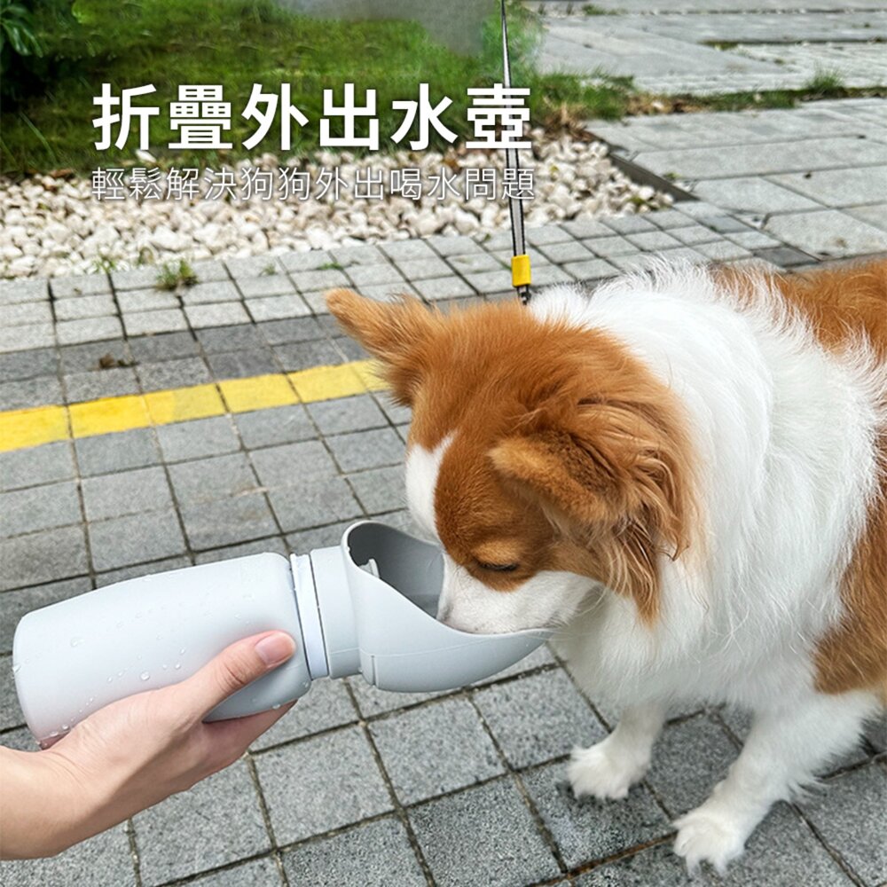 Drupi 戶外矽膠折疊外出水壺 狗狗隨行水杯 外出戶外便攜式旅行可折疊水壺 遛狗用飲水器毛掌櫃寵物店-圖片-1
