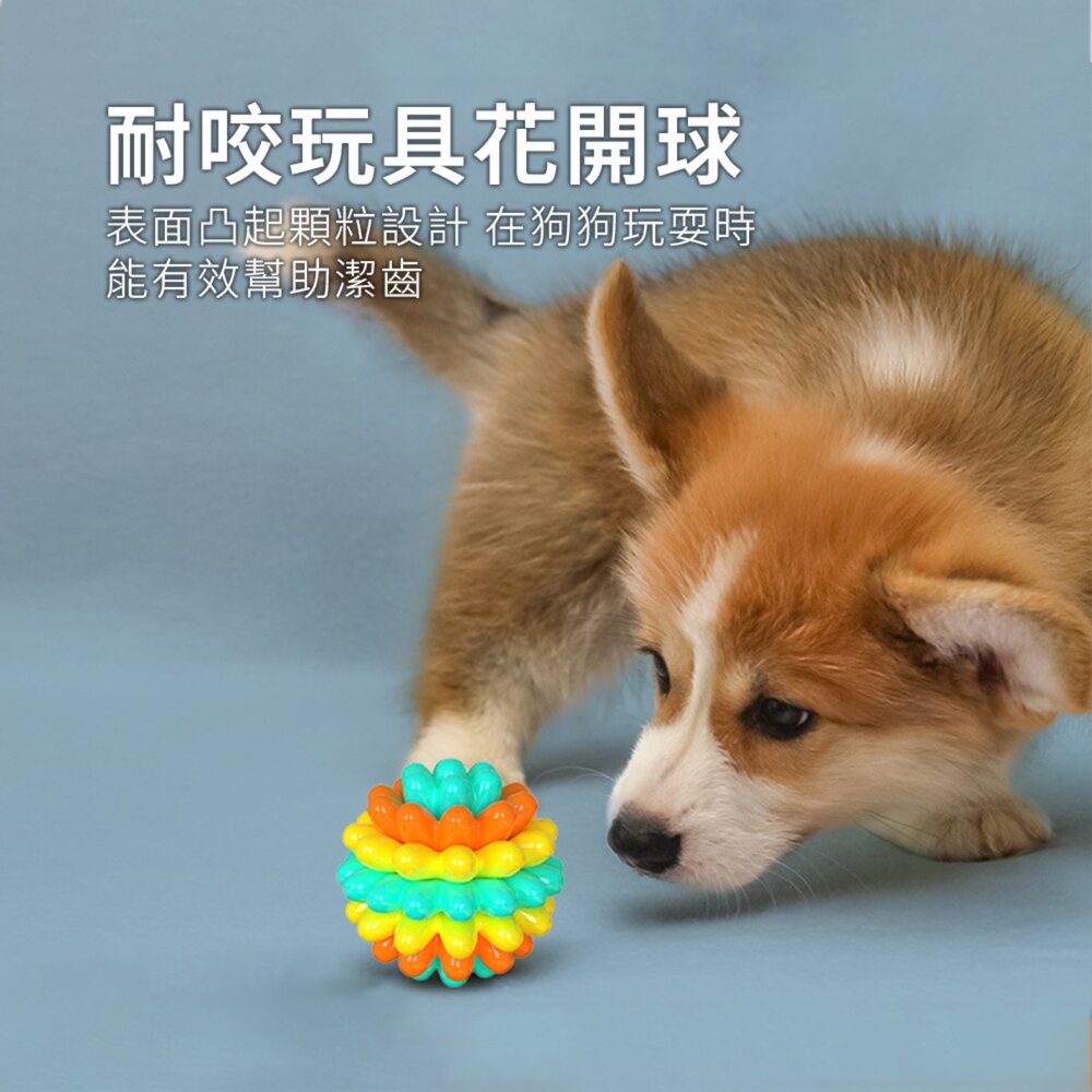 GOPLAY 耐咬玩具花開球 耐咬玩具球 寵物啃咬互動 磨牙趣味軟膠狗玩具毛掌櫃寵物店-圖片-1