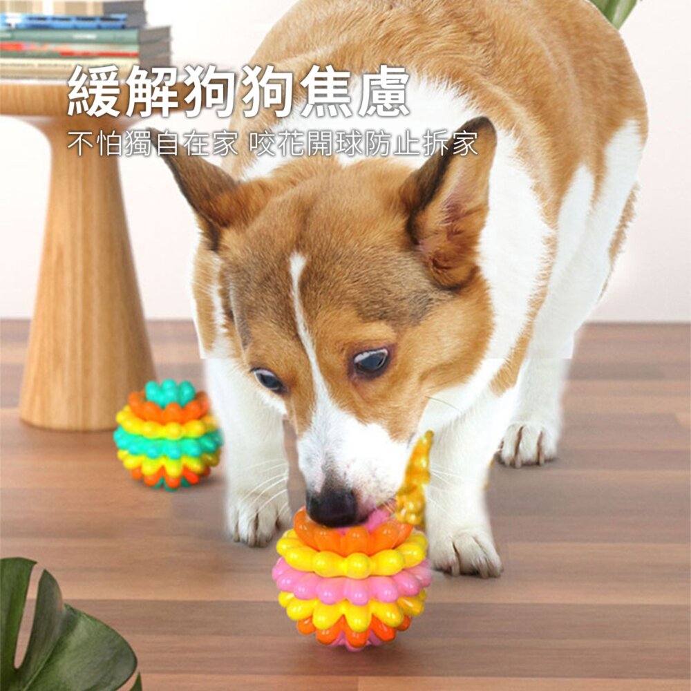 GOPLAY 耐咬玩具花開球 耐咬玩具球 寵物啃咬互動 磨牙趣味軟膠狗玩具毛掌櫃寵物店-圖片-2
