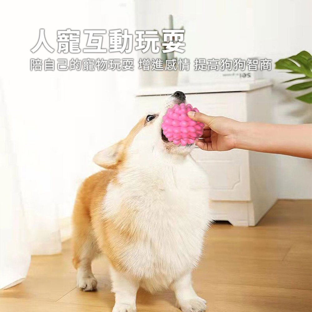 GOPLAY 耐咬玩具花開球 耐咬玩具球 寵物啃咬互動 磨牙趣味軟膠狗玩具毛掌櫃寵物店-圖片-5