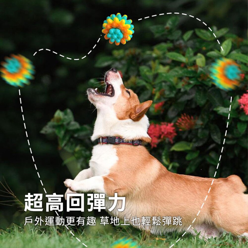 GOPLAY 耐咬玩具花開球 耐咬玩具球 寵物啃咬互動 磨牙趣味軟膠狗玩具毛掌櫃寵物店-圖片-6