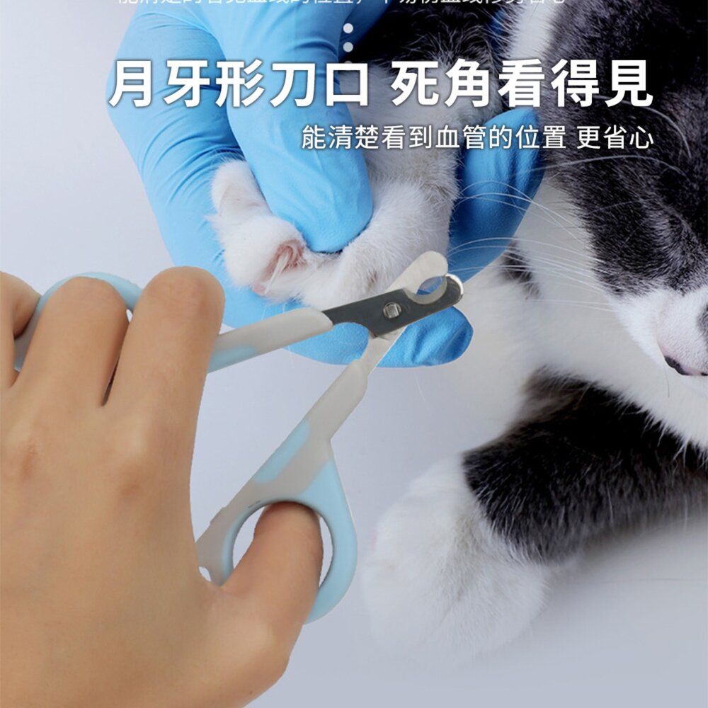 Sloppup 平頭小把指甲剪 平頭指甲剪 指甲剪 貓咪狗狗指甲剪 清潔美容 指甲刀毛掌櫃寵物店-圖片-3
