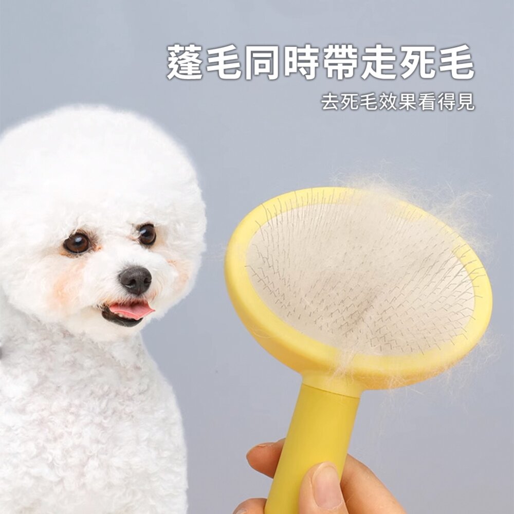 Sloppup 馬卡龍橢圓梳 狗狗梳毛專用梳子 毛髮美容梳 寵物解結去浮毛造型梳毛掌櫃寵物店-圖片-2