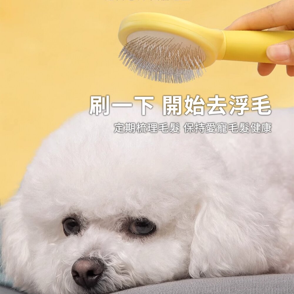 Sloppup 馬卡龍橢圓梳 狗狗梳毛專用梳子 毛髮美容梳 寵物解結去浮毛造型梳毛掌櫃寵物店-圖片-3