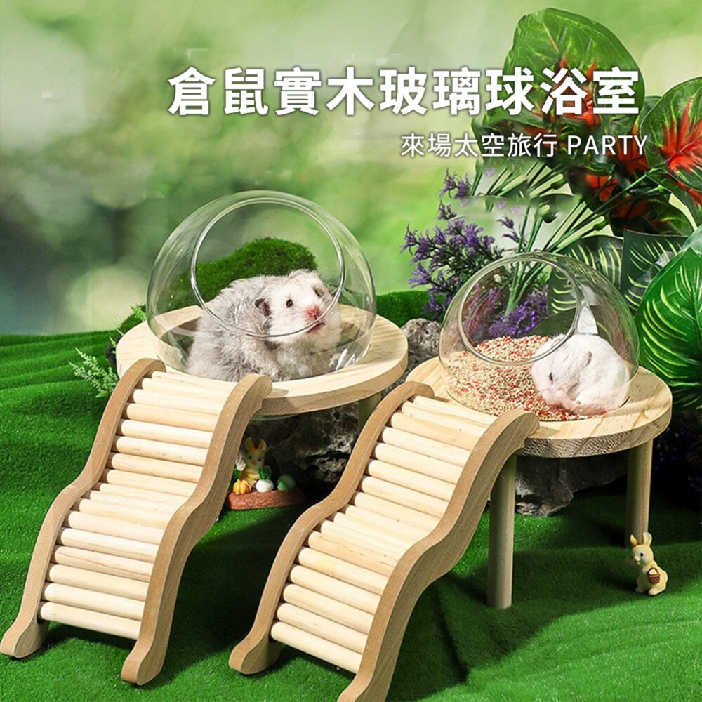 MY 倉鼠實木玻璃球浴室 倉鼠浴室太空艙浴房 廁所兩用 洗澡沐浴盆 尿砂浴沙防飛濺用品毛掌櫃寵物店-圖片-1