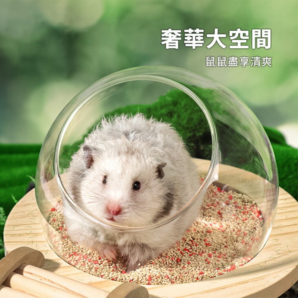 MY 倉鼠實木玻璃球浴室 倉鼠浴室太空艙浴房 廁所兩用 洗澡沐浴盆 尿砂浴沙防飛濺用品毛掌櫃寵物店-圖片-2