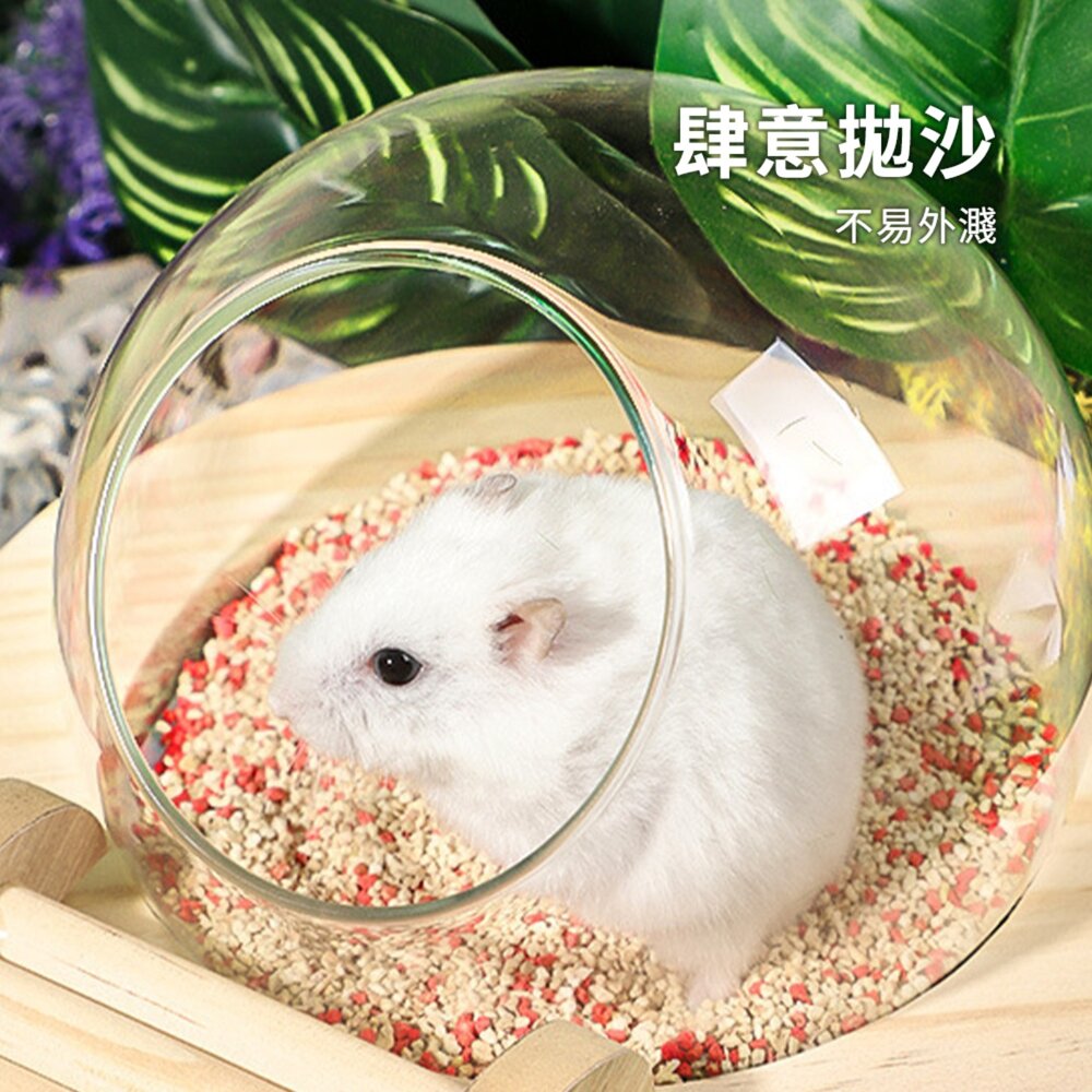 MY 倉鼠實木玻璃球浴室 倉鼠浴室太空艙浴房 廁所兩用 洗澡沐浴盆 尿砂浴沙防飛濺用品毛掌櫃寵物店-圖片-3