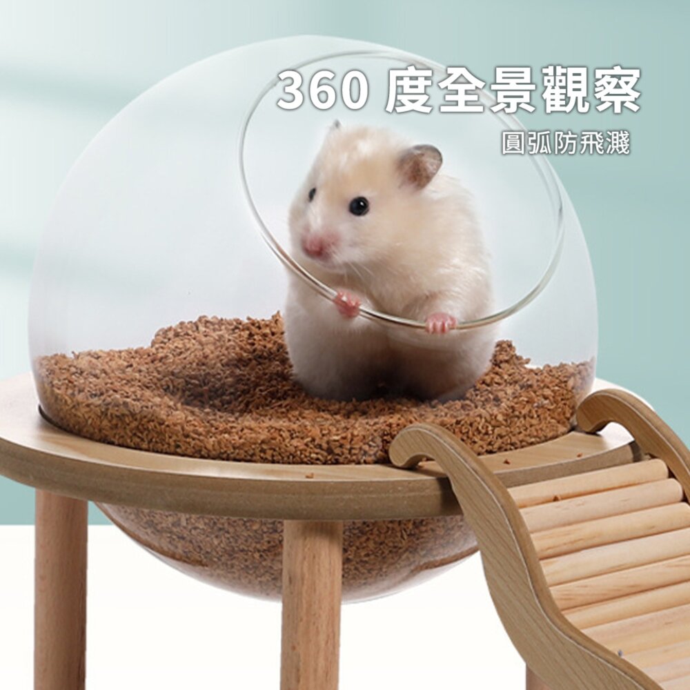 MY 倉鼠實木玻璃球浴室 倉鼠浴室太空艙浴房 廁所兩用 洗澡沐浴盆 尿砂浴沙防飛濺用品毛掌櫃寵物店-圖片-4