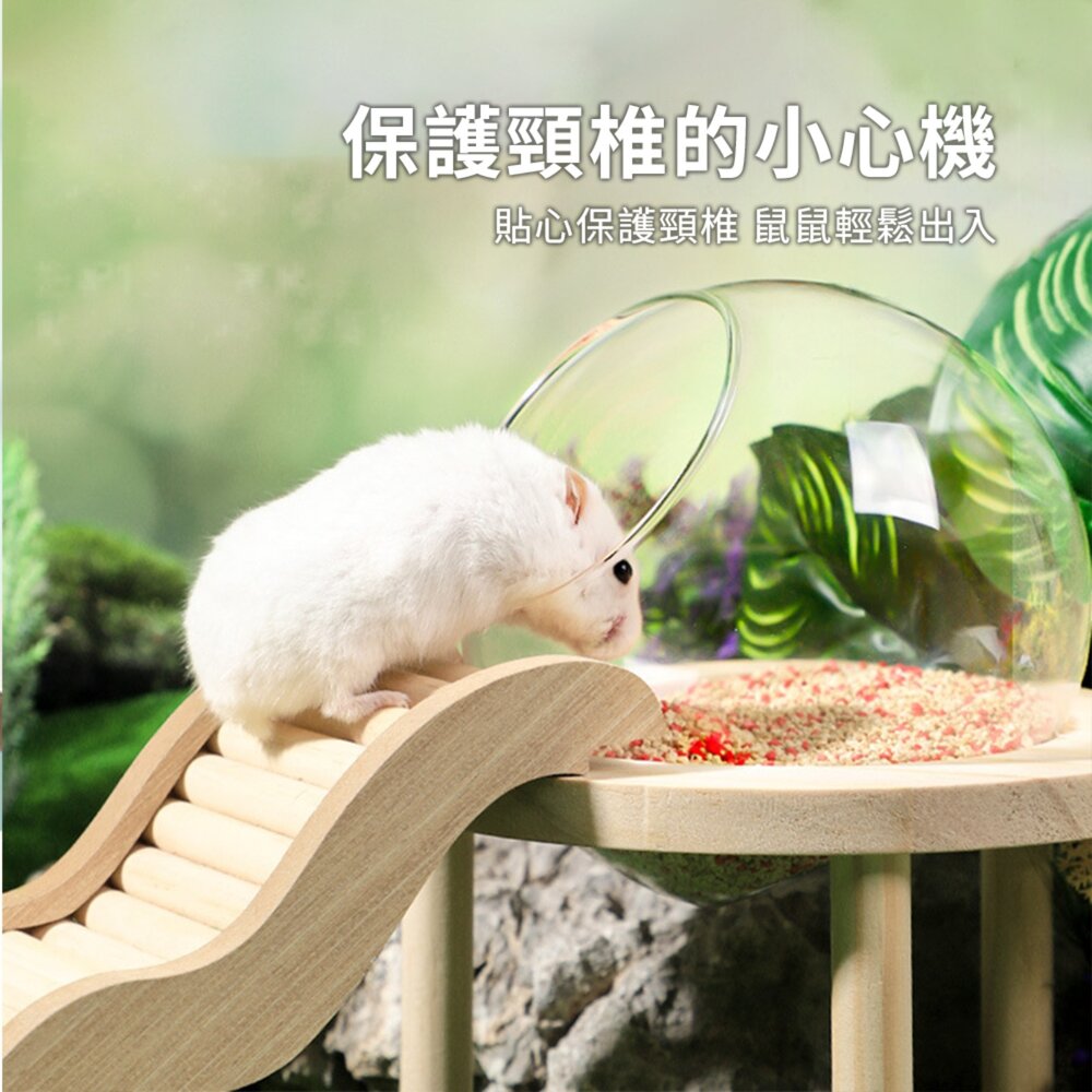 MY 倉鼠實木玻璃球浴室 倉鼠浴室太空艙浴房 廁所兩用 洗澡沐浴盆 尿砂浴沙防飛濺用品毛掌櫃寵物店-圖片-5