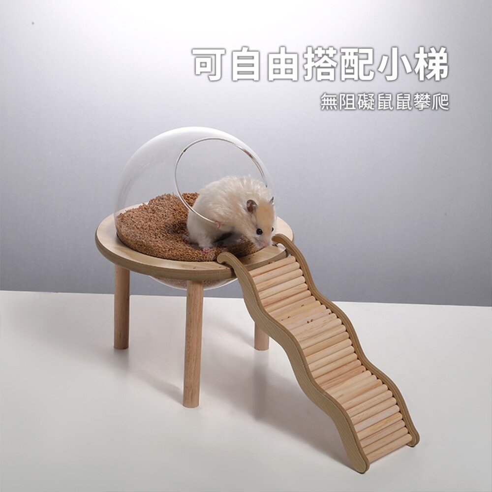 MY 倉鼠實木玻璃球浴室 倉鼠浴室太空艙浴房 廁所兩用 洗澡沐浴盆 尿砂浴沙防飛濺用品毛掌櫃寵物店-圖片-6