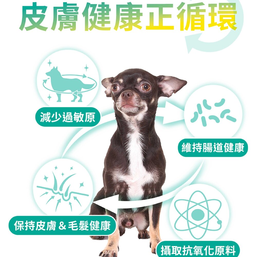 發育寶 犬糧 SFA30 皮膚低敏方針 全齡犬糧 皮膚專科蔡曼琳獸醫師監製毛掌櫃寵物店-圖片-8