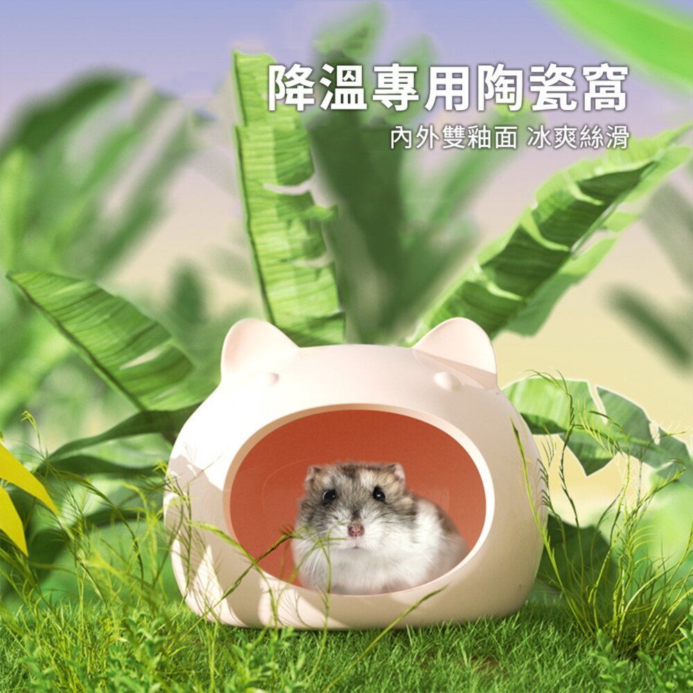Hamster 貓頭降溫陶瓷窩 倉鼠 瓷窩 小房子 夏季 降溫 躲避窩 陶瓷 睡窩 金絲熊消暑 倉鼠 造景用品毛掌櫃寵物-圖片-4