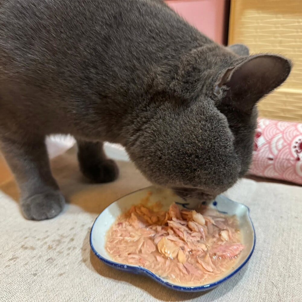 吶一口湯罐 貓湯罐 鮮肉湯罐 貓咪鮮肉湯罐 無榖貓湯罐 貓咪高湯毛掌櫃寵物店-圖片-2