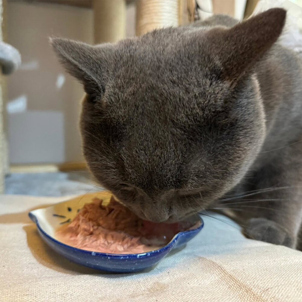 吶一口湯罐 貓湯罐 鮮肉湯罐 貓咪鮮肉湯罐 無榖貓湯罐 貓咪高湯毛掌櫃寵物店-圖片-3