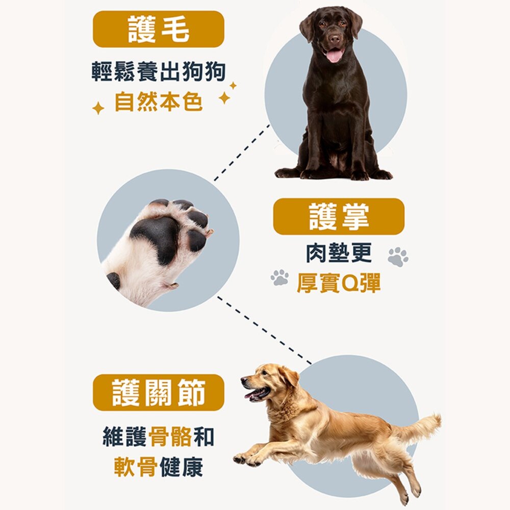 柏萊富 天然狗糧 狗飼料 犬糧 成犬 幼犬 老犬 小型犬 狗 寵物 飼料毛掌櫃寵物店-圖片-3