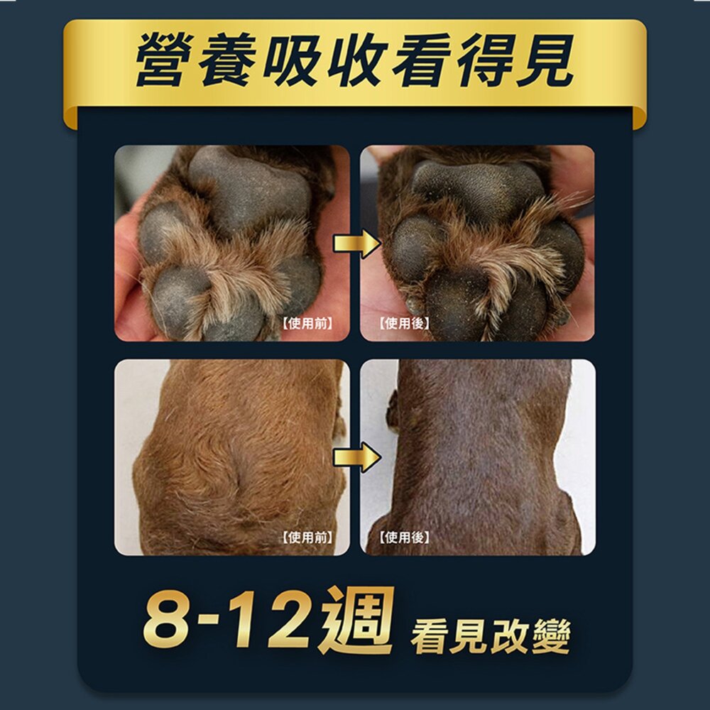 柏萊富 天然狗糧 狗飼料 犬糧 成犬 幼犬 老犬 小型犬 狗 寵物 飼料毛掌櫃寵物店-圖片-4