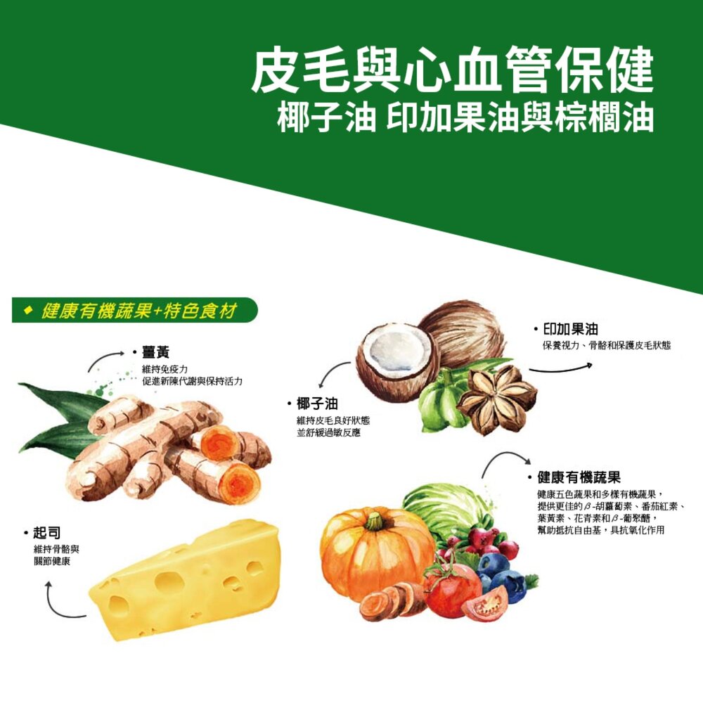 維吉 HVP機能性 素食狗糧 全齡 幼母犬 活力成犬 熟齡 老犬適用毛掌櫃寵物店-圖片-4