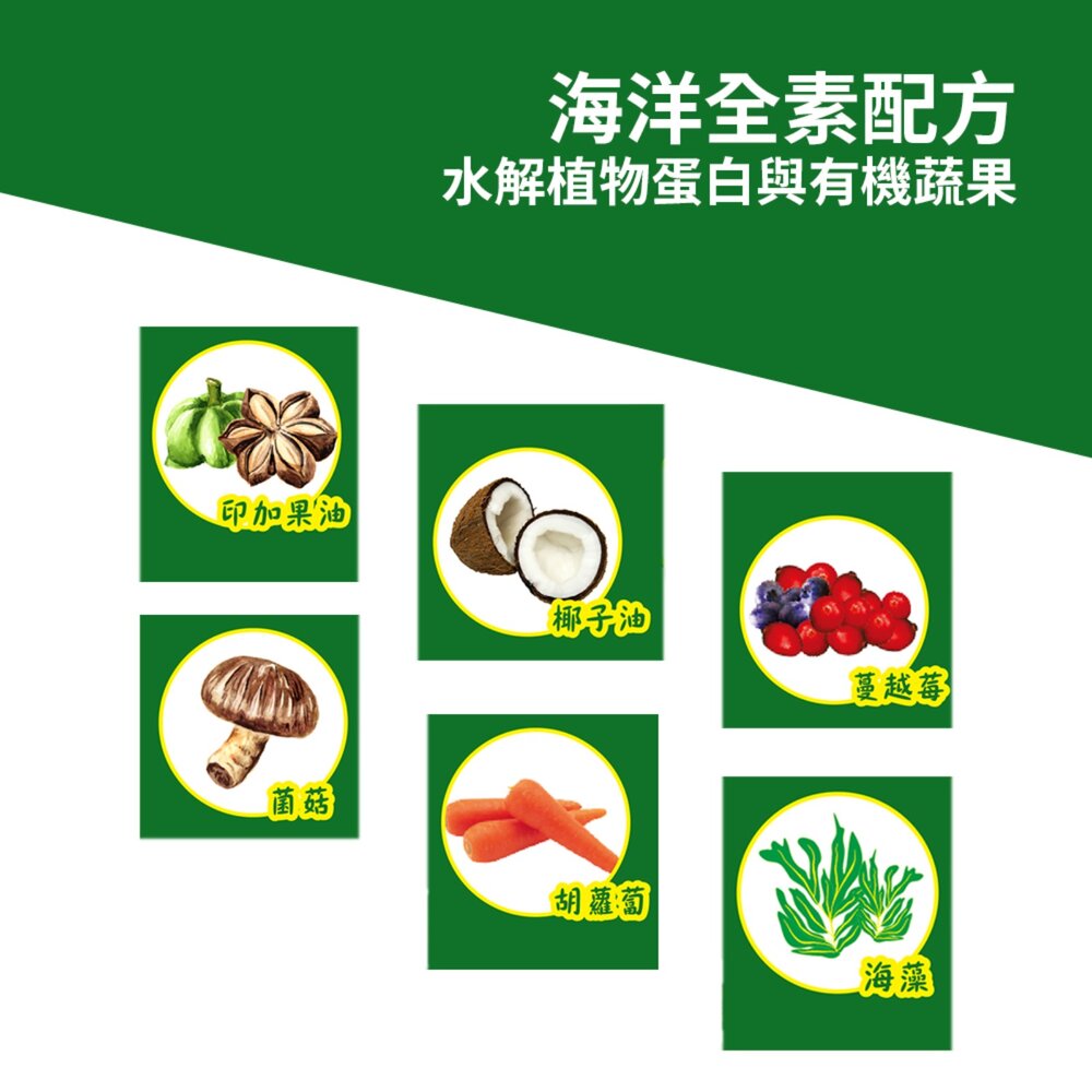 維吉 HVP機能性 素食狗糧 全齡 幼母犬 活力成犬 熟齡 老犬適用毛掌櫃寵物店-圖片-5