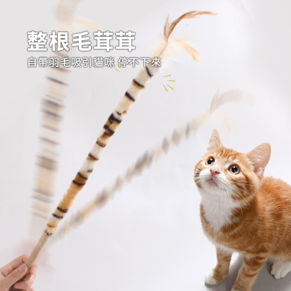 FLUPP 雞毛毯子逗貓棒 羽毛逗貓棒 雞毛撢子 逗貓玩具 麻繩木杆 帶鈴鐺 逗貓棒毛掌櫃寵物店-圖片-2