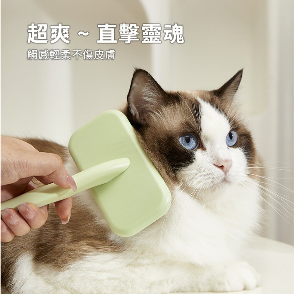 蓬鬆拉毛針梳 梳子 梳 毛髮蓬鬆 清潔 美容 針梳用品毛掌櫃寵物店-圖片-3