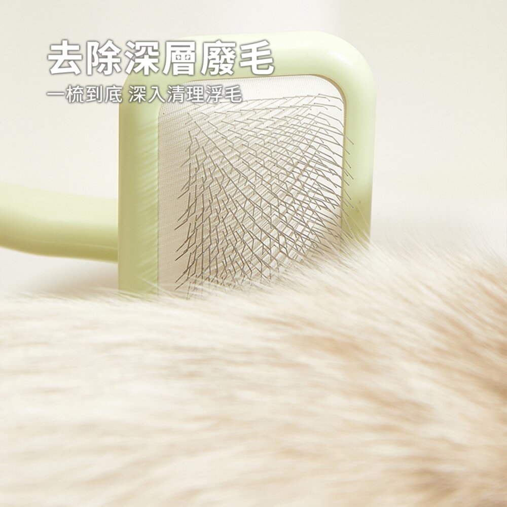 蓬鬆拉毛針梳 梳子 梳 毛髮蓬鬆 清潔 美容 針梳用品毛掌櫃寵物店-圖片-5