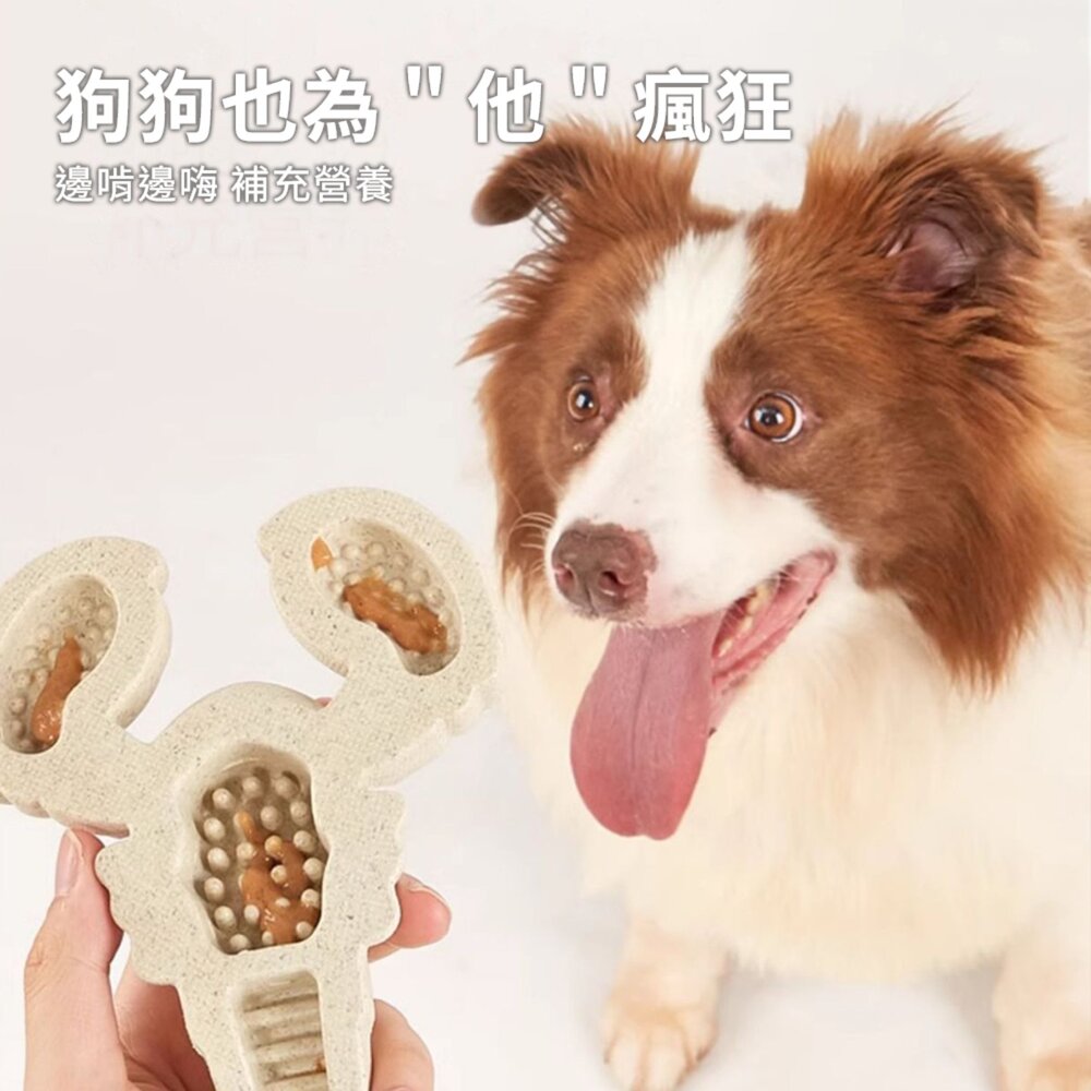 FOFOS 木塑磨牙潔齒玩具 狗狗玩具 磨牙棒 磨牙 耐咬毛掌櫃寵物店-圖片-2
