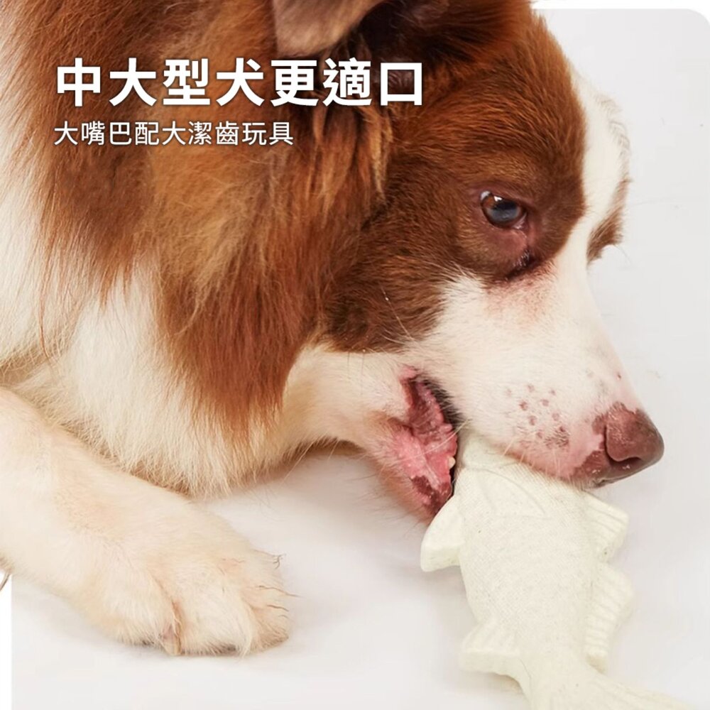 FOFOS 木塑磨牙潔齒玩具 狗狗玩具 磨牙棒 磨牙 耐咬毛掌櫃寵物店-圖片-5