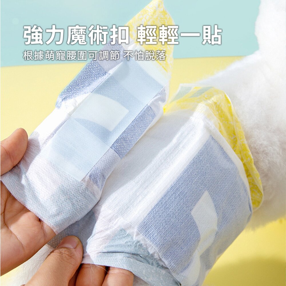 HIPI 公狗紙尿褲 公狗專用紙尿褲 透氣小狗狗尿不濕 瞬吸防滲漏 衛生防亂尿 寵物生理褲毛掌櫃寵物店-圖片-4