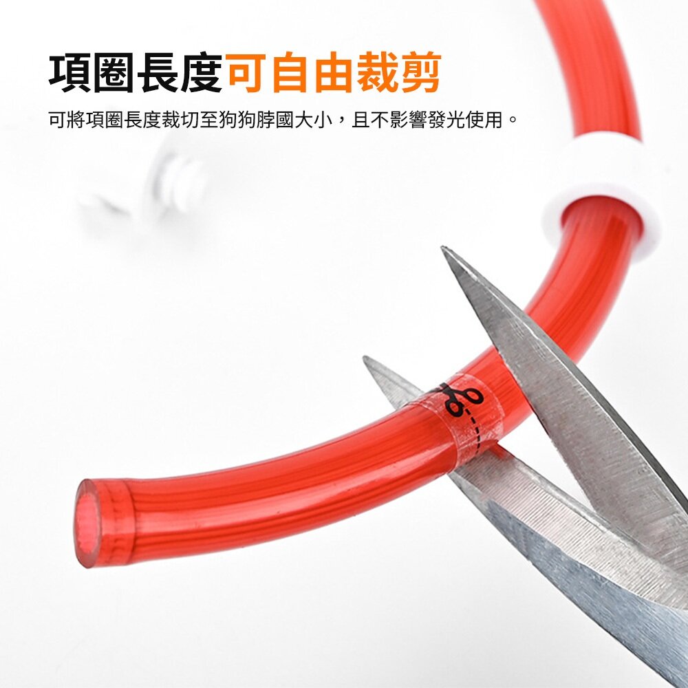 LED發光項圈 可充電 發光項圈 LED 發光吊墜 發光狗牌 貓狗通用毛掌櫃寵物店-圖片-5