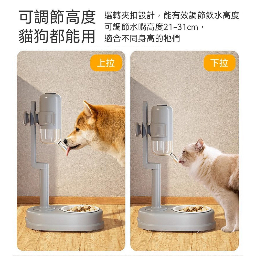 GRAC 寵物站立飲水器 站立飲水 不濕嘴飲水器 飲水器 狗狗飲水器 貓咪飲水器 飲水機 寵物碗毛掌櫃寵物店-圖片-4