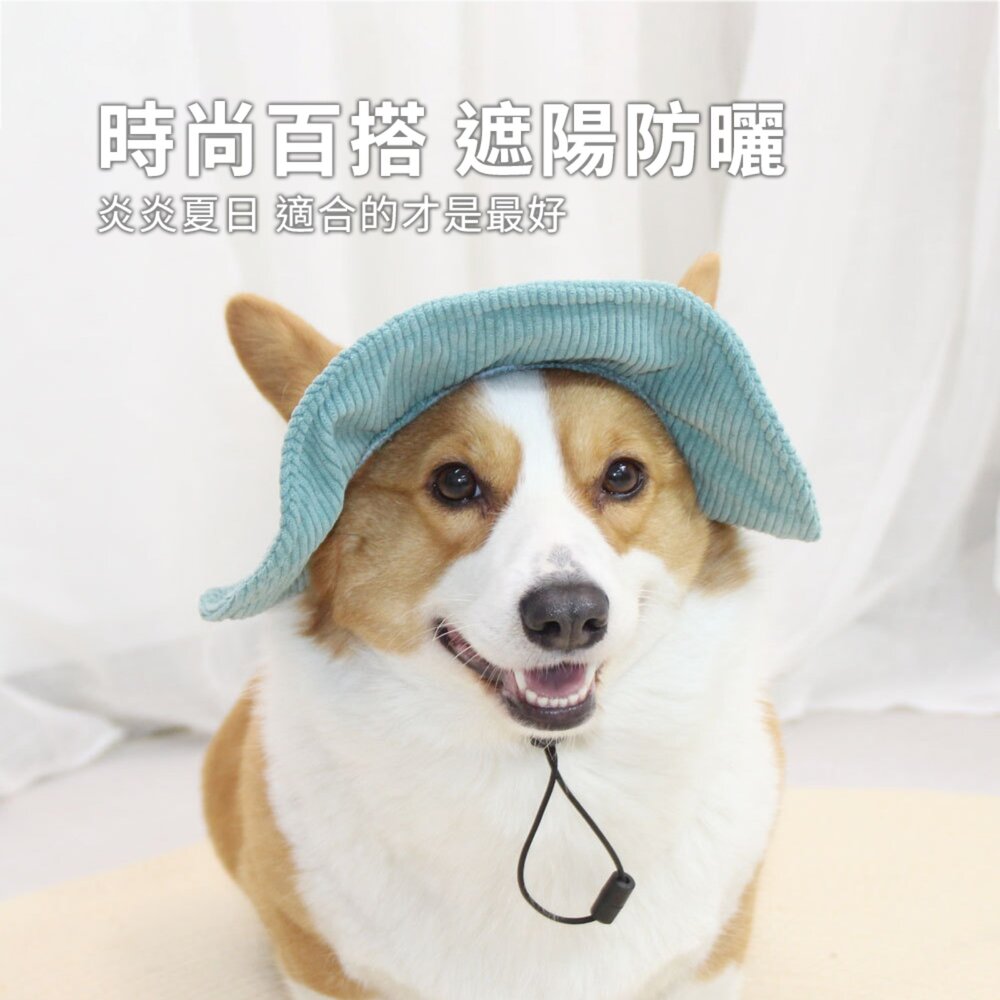寵物帽 漁夫帽 戶外遮陽帽 寵物帽子 帽子 寵物遮陽帽 遮陽帽 燈芯絨面料毛掌櫃寵物店-圖片-1