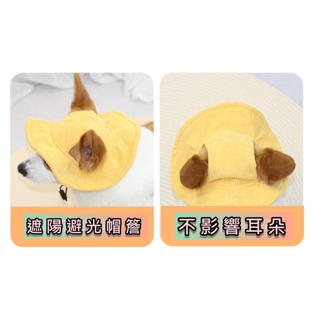 寵物帽 漁夫帽 戶外遮陽帽 寵物帽子 帽子 寵物遮陽帽 遮陽帽 燈芯絨面料毛掌櫃寵物店-圖片-10