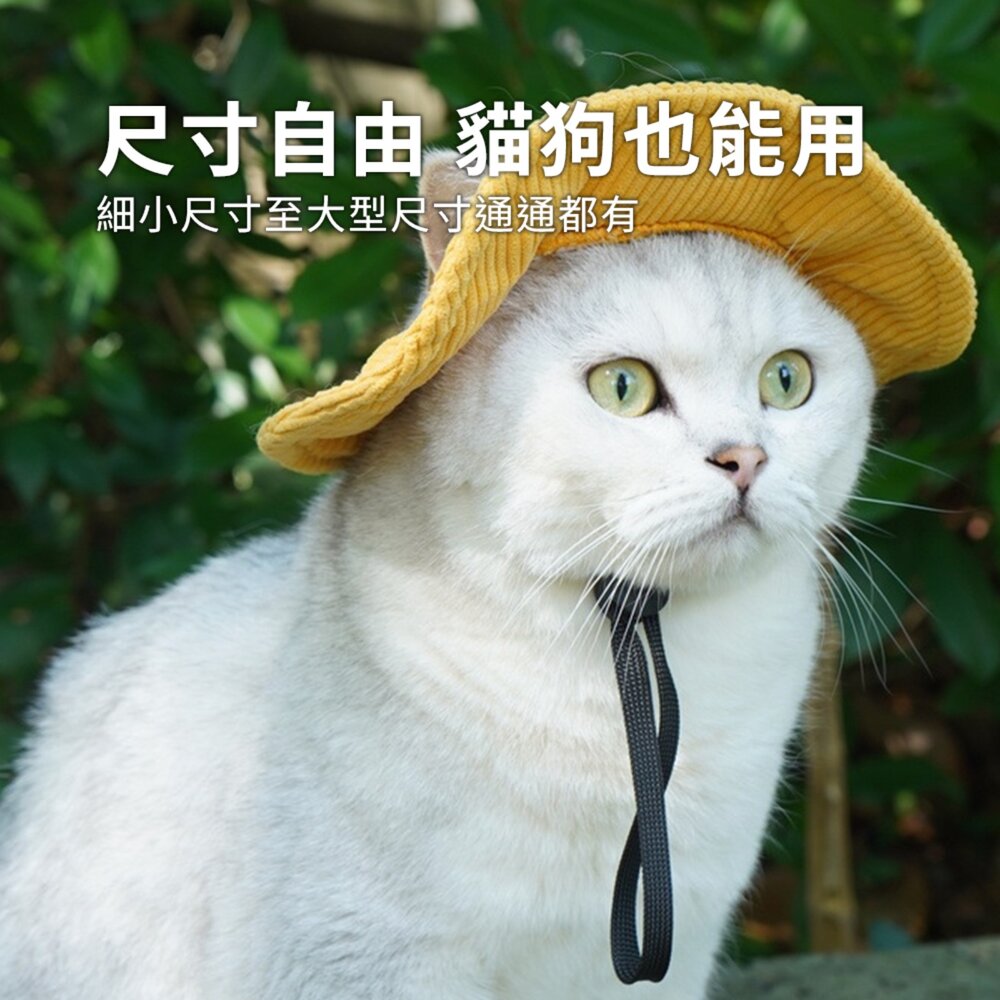 寵物帽 漁夫帽 戶外遮陽帽 寵物帽子 帽子 寵物遮陽帽 遮陽帽 燈芯絨面料毛掌櫃寵物店-圖片-4